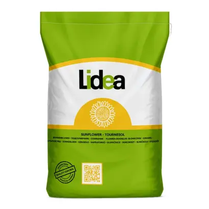 ES MEGAPOLIS CLP / ЕС МЕГАПОЛІС КЛП