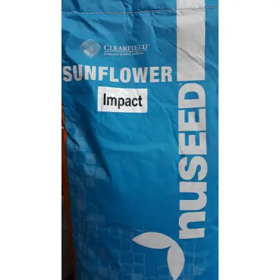 Impact / Імпакт