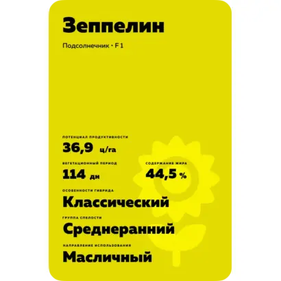 ZEPPELIN / ЗЕППЕЛІН