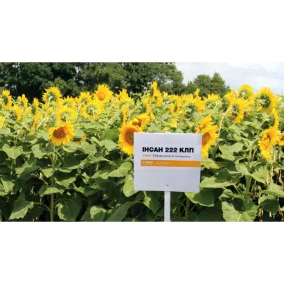 INSUN 299 SU / ІНСАН 299 СУ