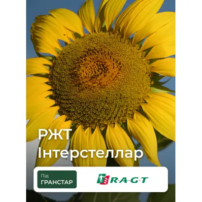 INTERSTELLAR / ІНТЕРСТЕЛЛАР