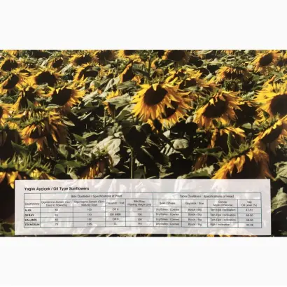 Kalamis / Каламис