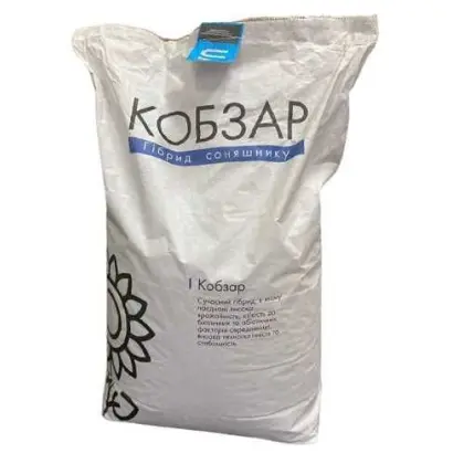 Kobzar / Кобзар