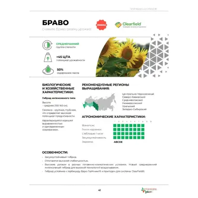 QC Bravo / КС Браво