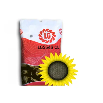 LG5543 CL / ЛГ5543 КЛ