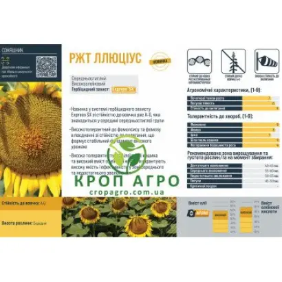 LLUCIUS / ЛЛЮЦІУС