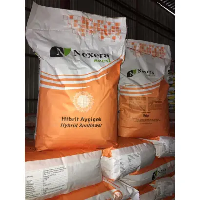 Magura / Магура