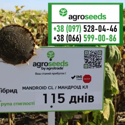 MANDROID CL / МАНДРОІД СЛ