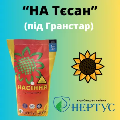 НА Тєсан