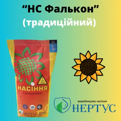 NS FALCON / НС ФАЛКОН