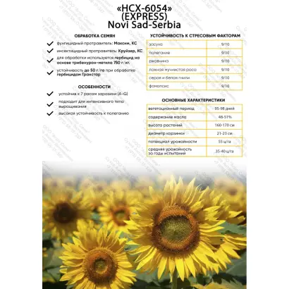 NS H 6054 / НС Х 6054