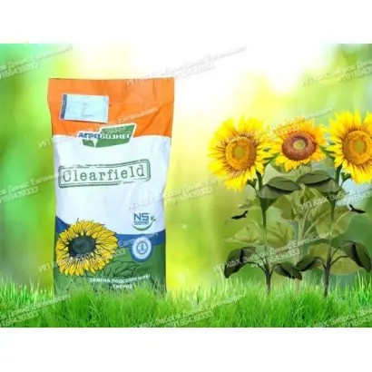 NS H 6343 / НС Х 6343