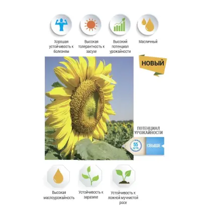 NS H 7882 / НС Х 7882