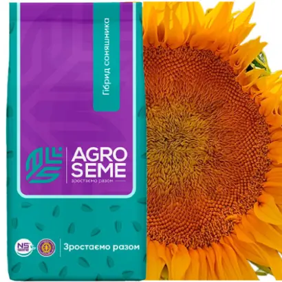 NS H 7902 / НС Х 7902