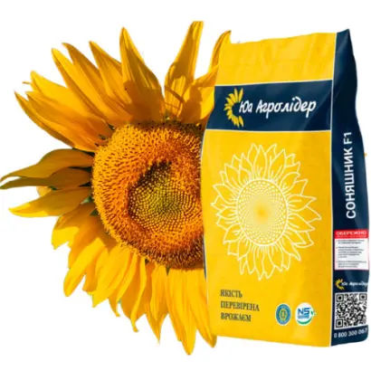 NS H 7916 / НС Х 7916