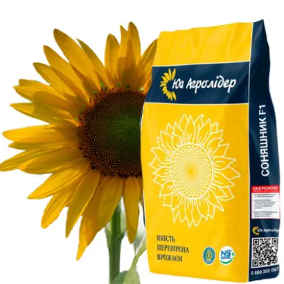 NS H VLSP / НС Х ВЛСП