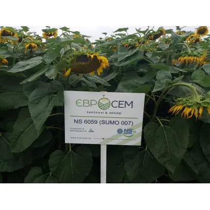 NS-H-6059 / НС-Х-6059