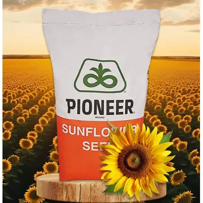 P64LE185 / П64ЛЕ185