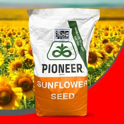 P64LP130 / П64ЛП130