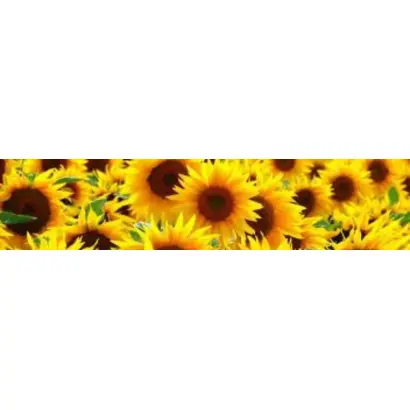 P64LP180 / П64ЛП180