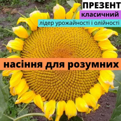 Презент АМ