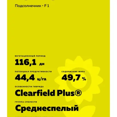 PRETORIA CLP / ПРЕТОРІЯ КЛП