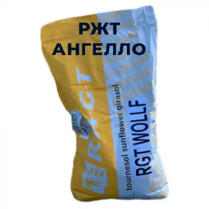 RGT ANGELLO / РЖТ АНГЕЛЛО