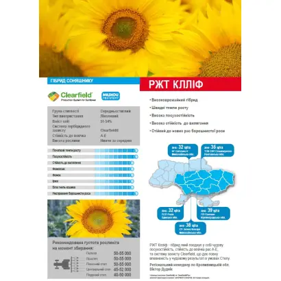 RGT CLLIF / РЖТ КЛЛІФ