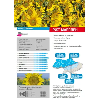 RGT MARLLEN / РЖТ МАРЛЛЕН