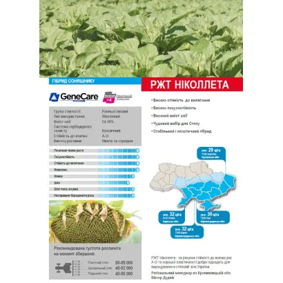 RGT NICOLLETA / РЖТ НІКОЛЛЕТА