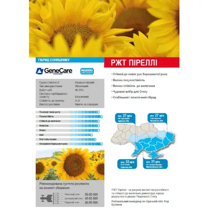 RGT PIRELLI / РЖТ ПІРЕЛЛІ