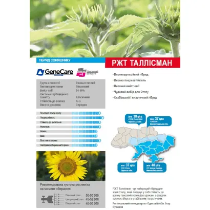 RGT TALLISMAN / РЖТ ТАЛЛІСМАН