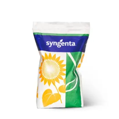 SY Arisona / СИ Арізона