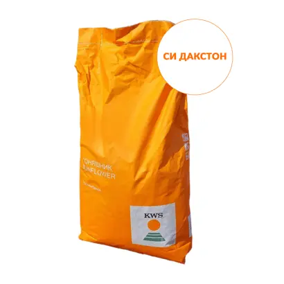 SY DAXTON / СИ ДАКСТОН