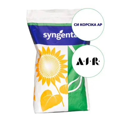 SY CORSICA AR / СИ КОРСІКА АР