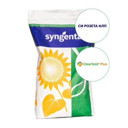 SY FLAVIO CLP / СИ ФЛАВІО КЛП