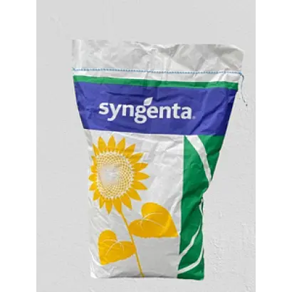 SY CHESTER / СИ ЧЕСТЕР