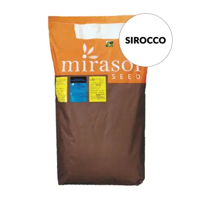 Sirocco / Сірокко