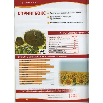 SPRINGBOKS / СПРИНГБОКС