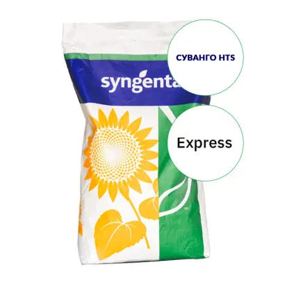 SUVANGO / СУВАНГО