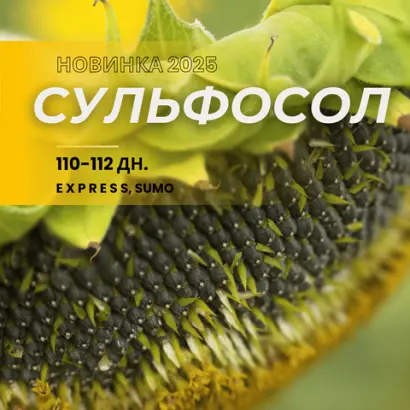 Sulfosol / Сульфосол