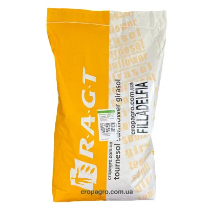 FILLADELFIA / ФІЛЛАДЕЛЬФІЯ