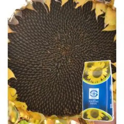 FLORMASTER IR / ФЛОРМАСТЕР ІР