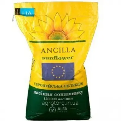 ANCILLA / АНЦИЛЛА