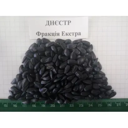 Dnestr / Днєстр