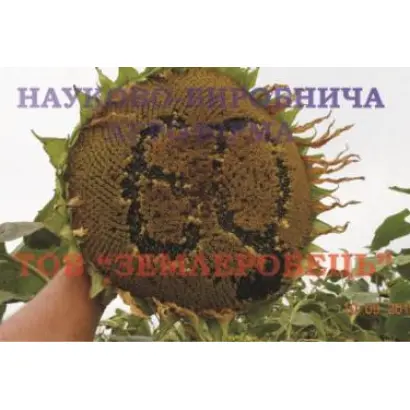 Донской 60 / Донський 60