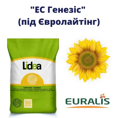 ES Venicia / ЕС Веніція