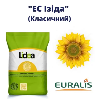 ES IDILLIC / ЕС ІДІЛЛІК