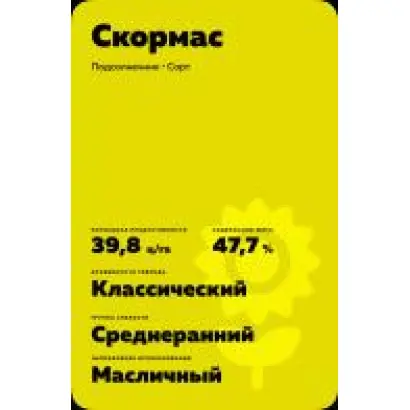 ES MEMPHIS CL / ЕС МЕМФІС СЛ