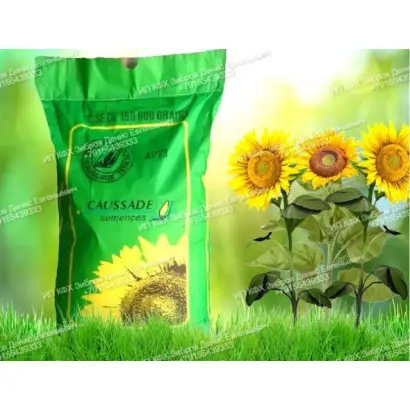 Estrella CS / Естрелла КС